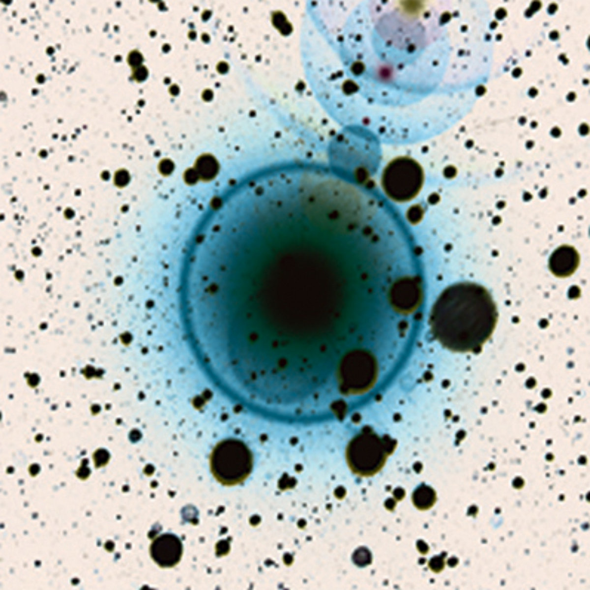  Zero 7 - Monday Night