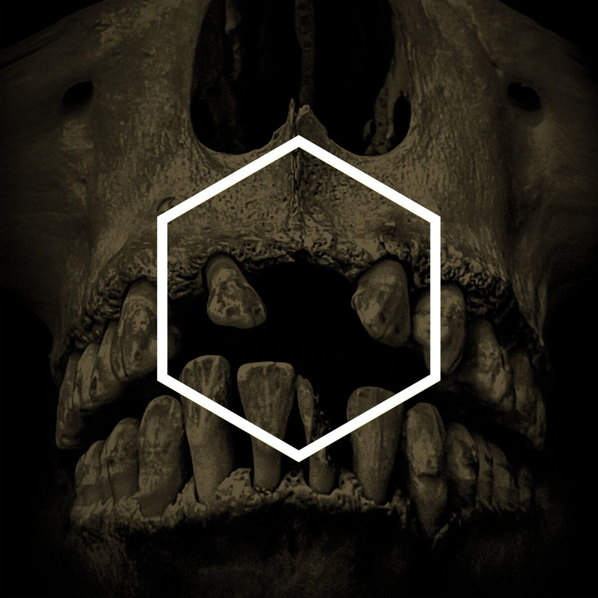  Lustmord - Insignificance