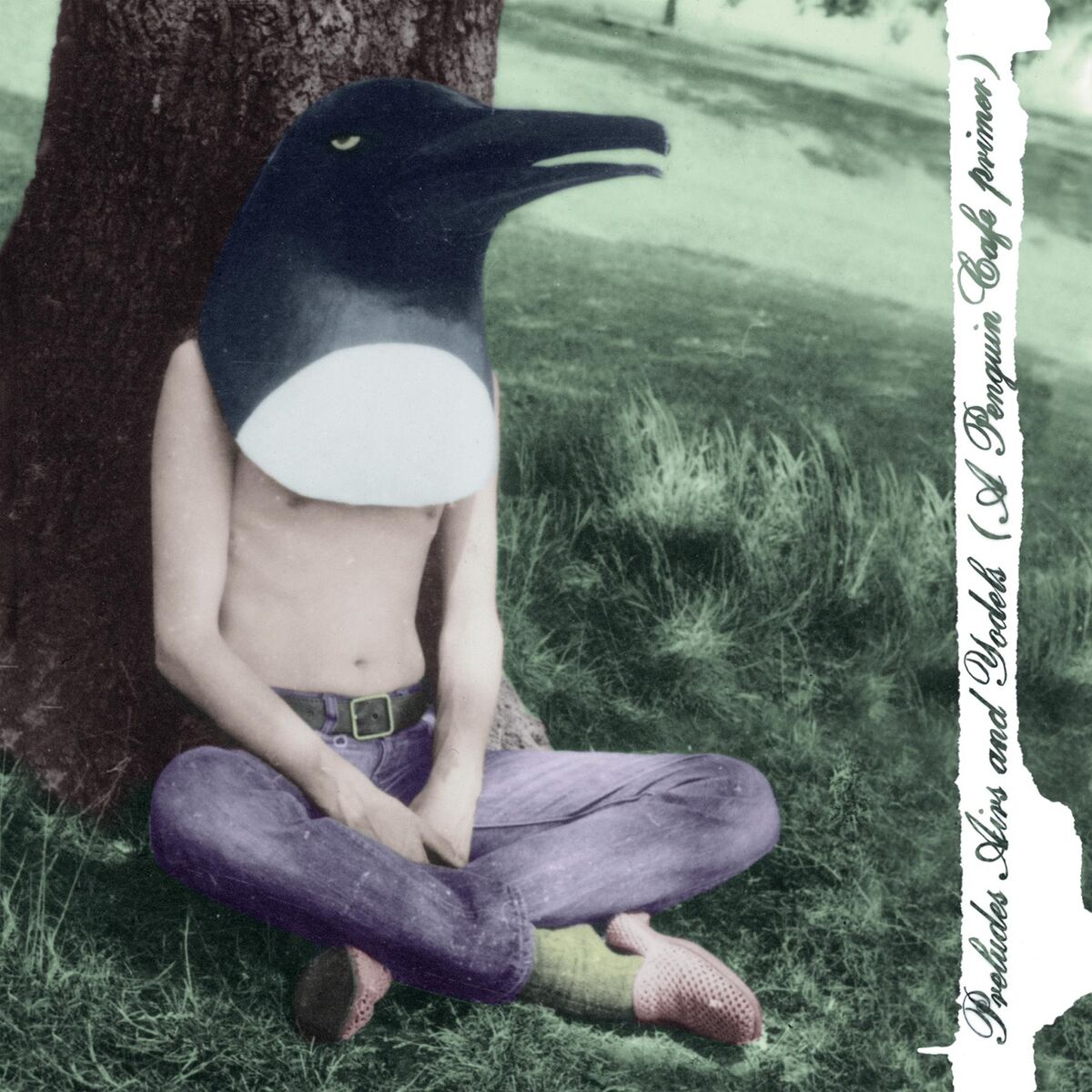  The Penguin Cafe Orchestra - TBeanfields