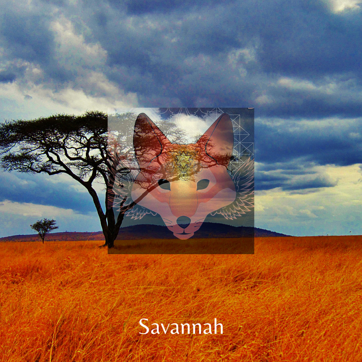  Savannah - Day After Day & Night