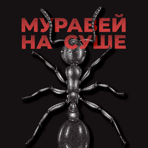  KRBK - Муравей на суше