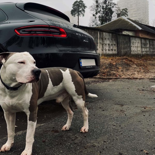  KRBK - 38 строчек