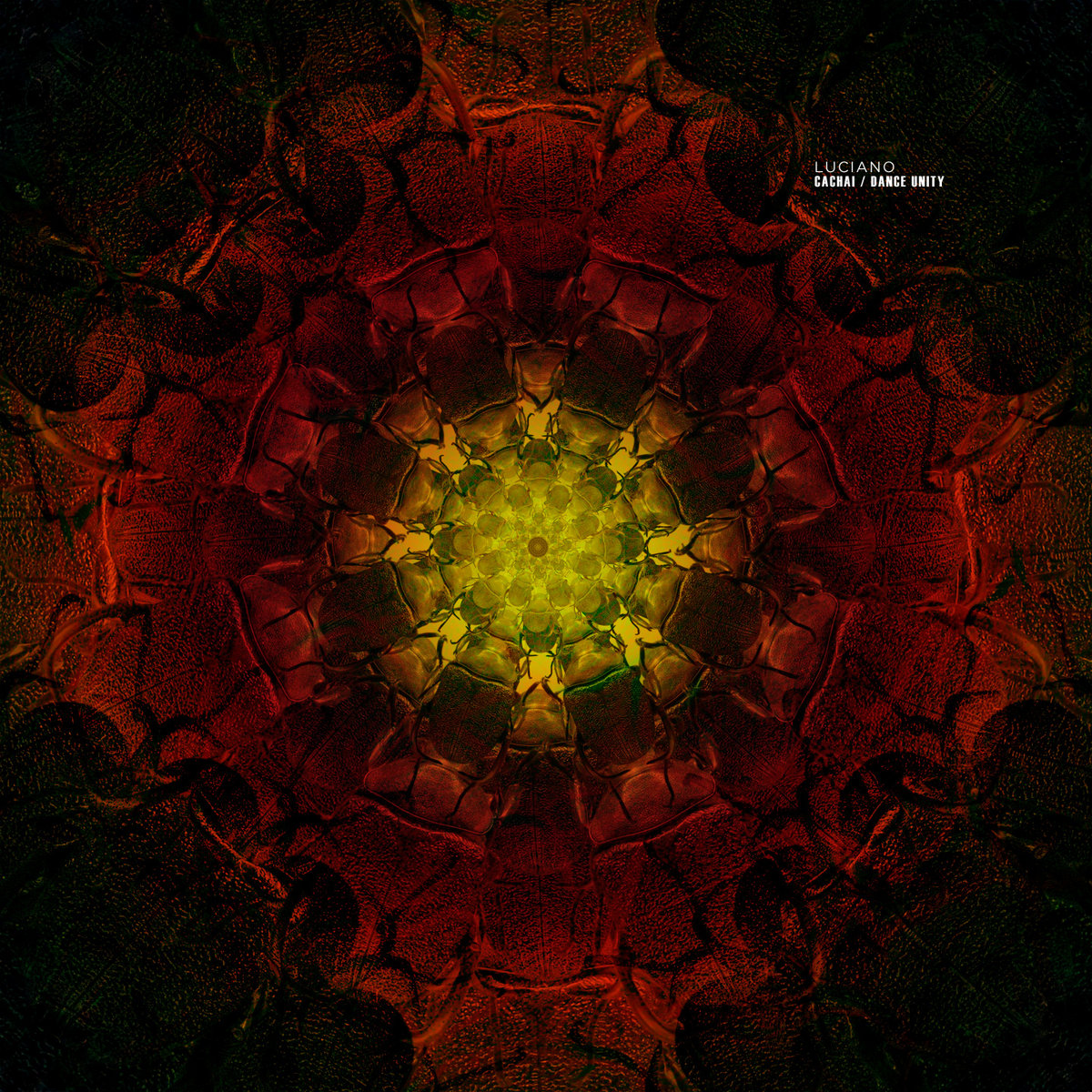  Luciano - Spring Summer