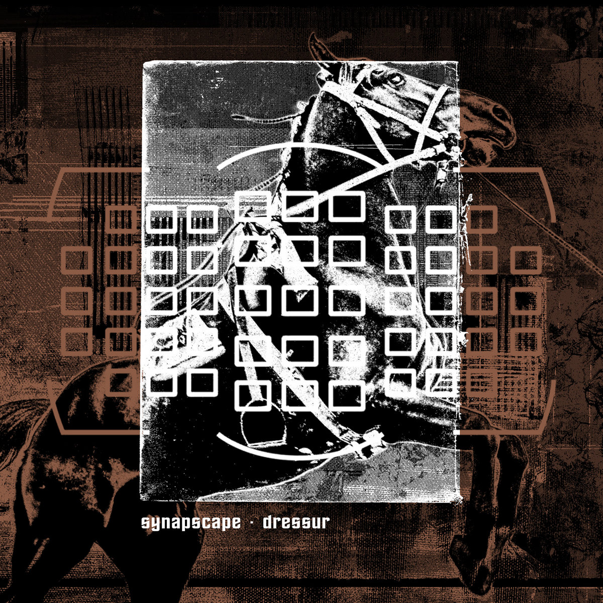  Synapscape - Discorrode