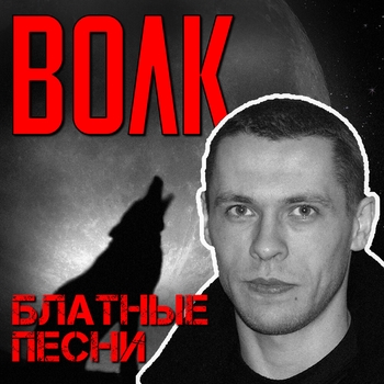  Виталий Волк - Стая