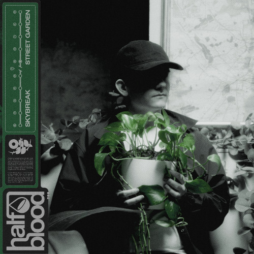  Skybreak - STREET GARDEN