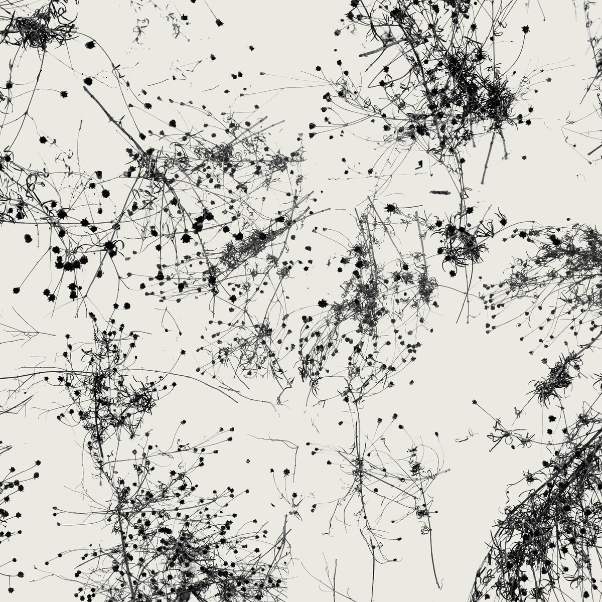 Cover Taylor Deupree - Everything's Gone Grey