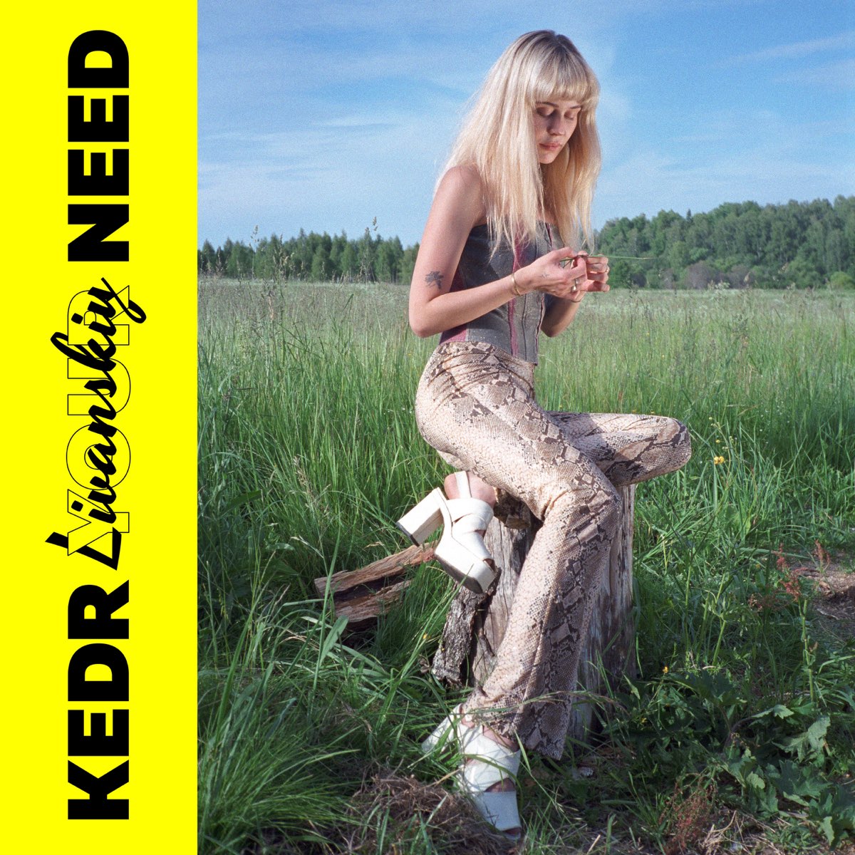 Cover Kedr Livanskiy - Kayf Mir
