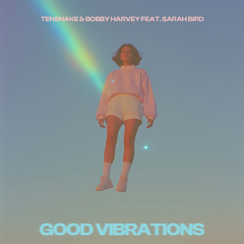  Tensnake & Bobby Harvey & Sarah Bird - Good Vibrations