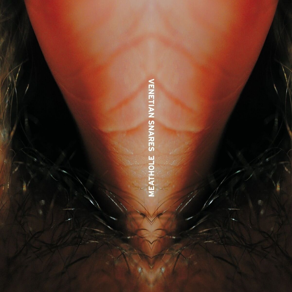 Cover Venetian Snares - Duffy