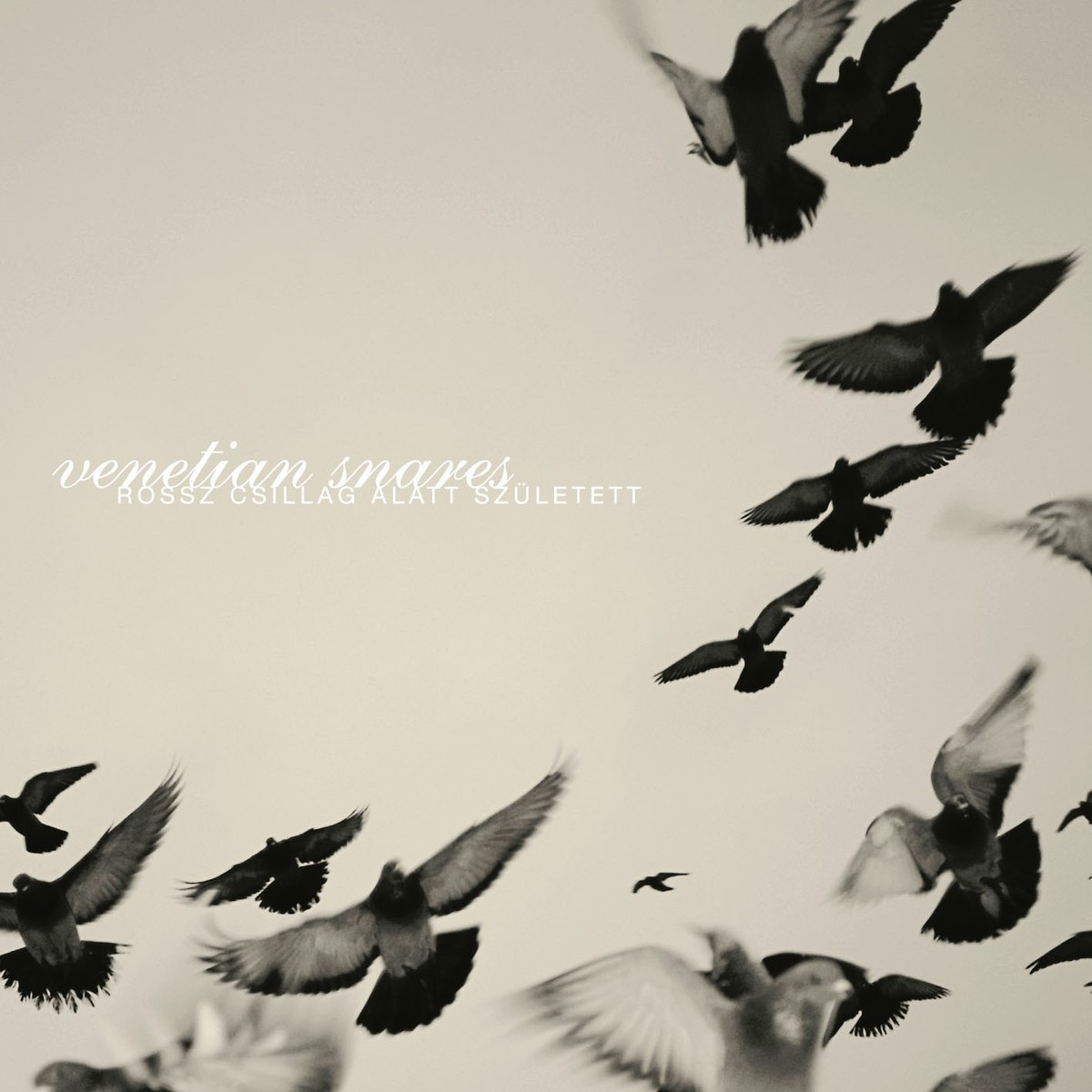 Cover Venetian Snares - Swindon