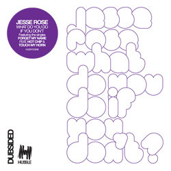 Cover Jesse Rose - Forget my name (feat. Hot Chip)