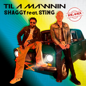  Shaggy & Sting - Til A Mawnin (Remix)
