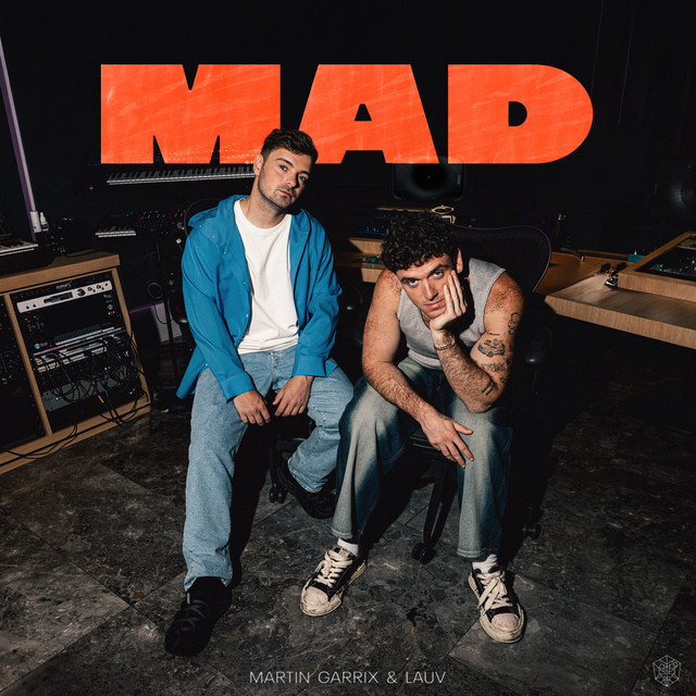  Martin Garrix & Lauv - MAD