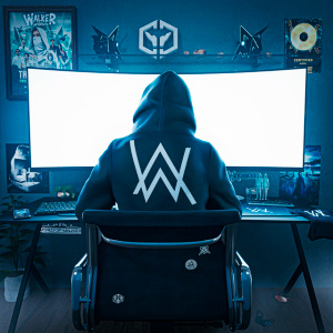  Alan Walker - Me Myself and The Night