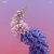 Cover Flume - Free