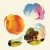 Cover Tycho - Slack