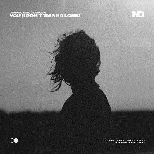  Giorgio Gee & vidi roca - You (I Don't Wanna Lose)