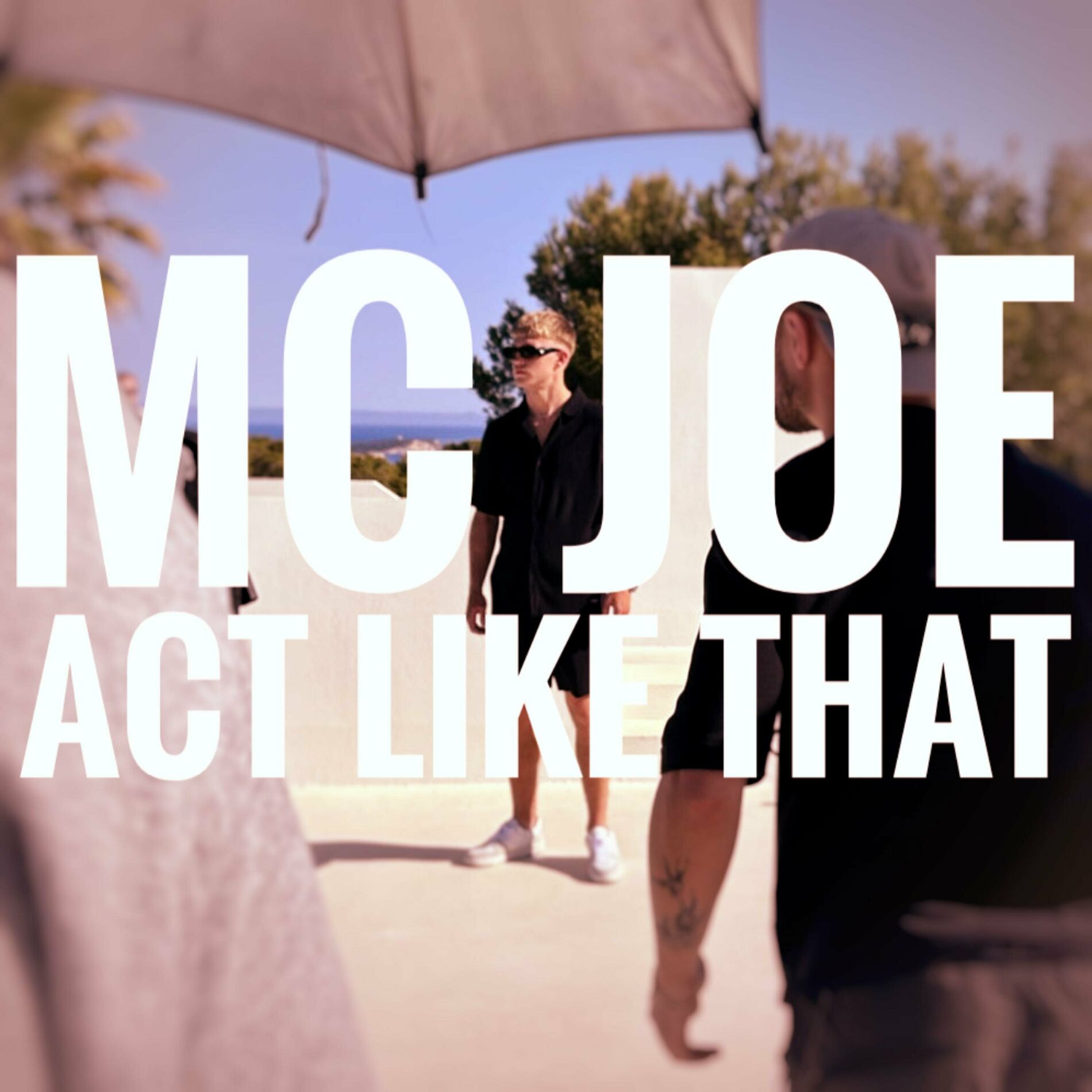  MC Joe, The Vanillas - It's Like That