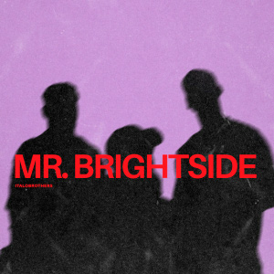  ItaloBrothers - Mr. Brightside