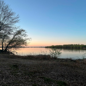  ALEKCION - Не та