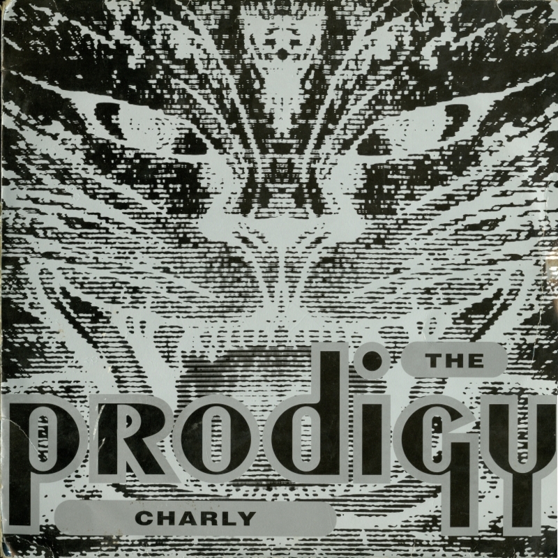  The Prodigy - Charly (Original Mix)