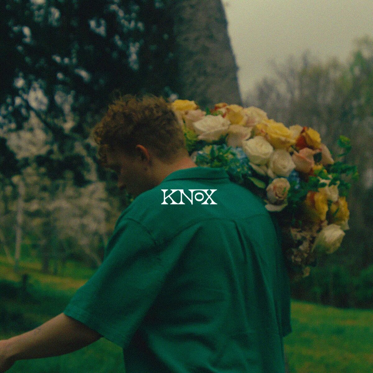  Knox - All American Tragedy