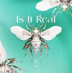 Is It Real (Extended Mix)