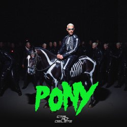 Pony