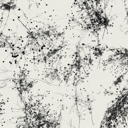 Everything's Gone Grey