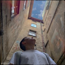 � ������ ���� ����