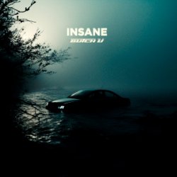 Insane