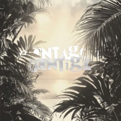 MONTAGEM CONTIGO (Speed Up)