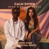 Rema & Selena Gomez - Calm Down