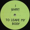Cover Green Velvet - I Want To Leave My Body Green Velvet - I Want To Leave My Body