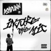 Ashdunn - Injure The Mic