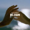 Cover Astrality & FLORES - Bloom Astrality & FLORES - Bloom