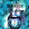 Rexalted - Synthetic happiness