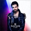 Alok - The Controversia Radio Show 219