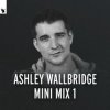 Ashley Wallbridge - Mumbai Traffic (Armin van Buuren's Edit)
