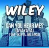 Wiley - Can You Hear Me_ (Ayayaya)