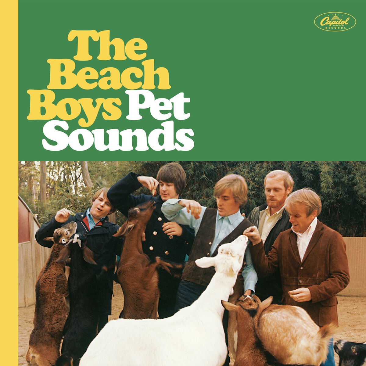 Cover The Beach Boys - Kokomo