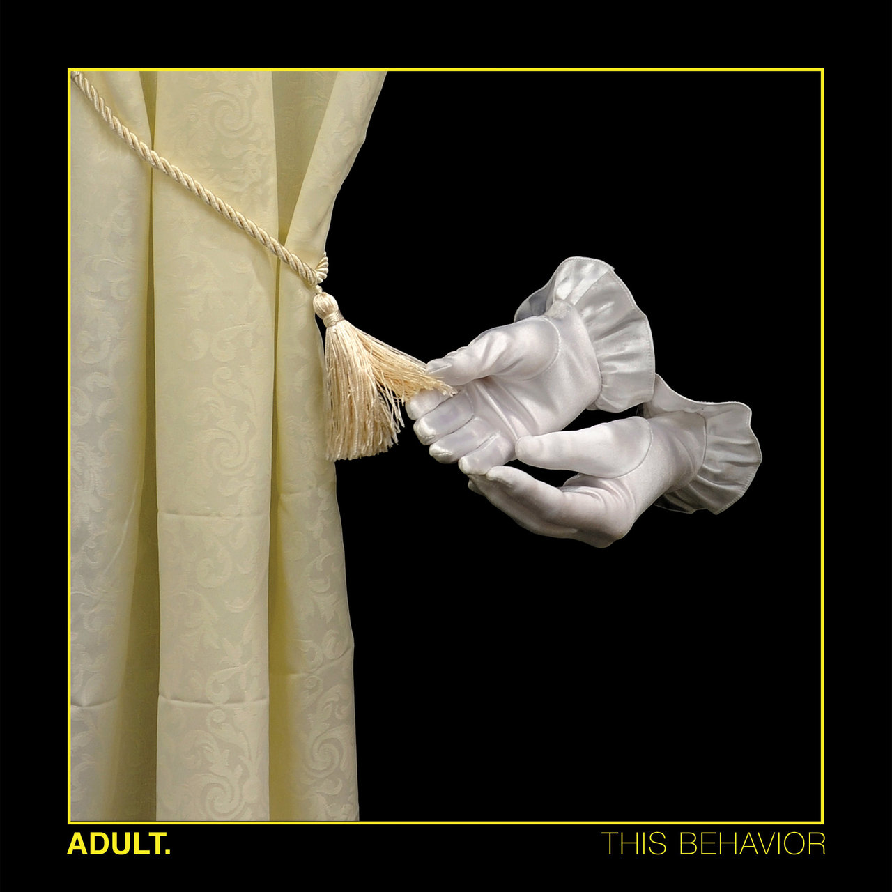 Cover ADULT. - Irregular Pleasure