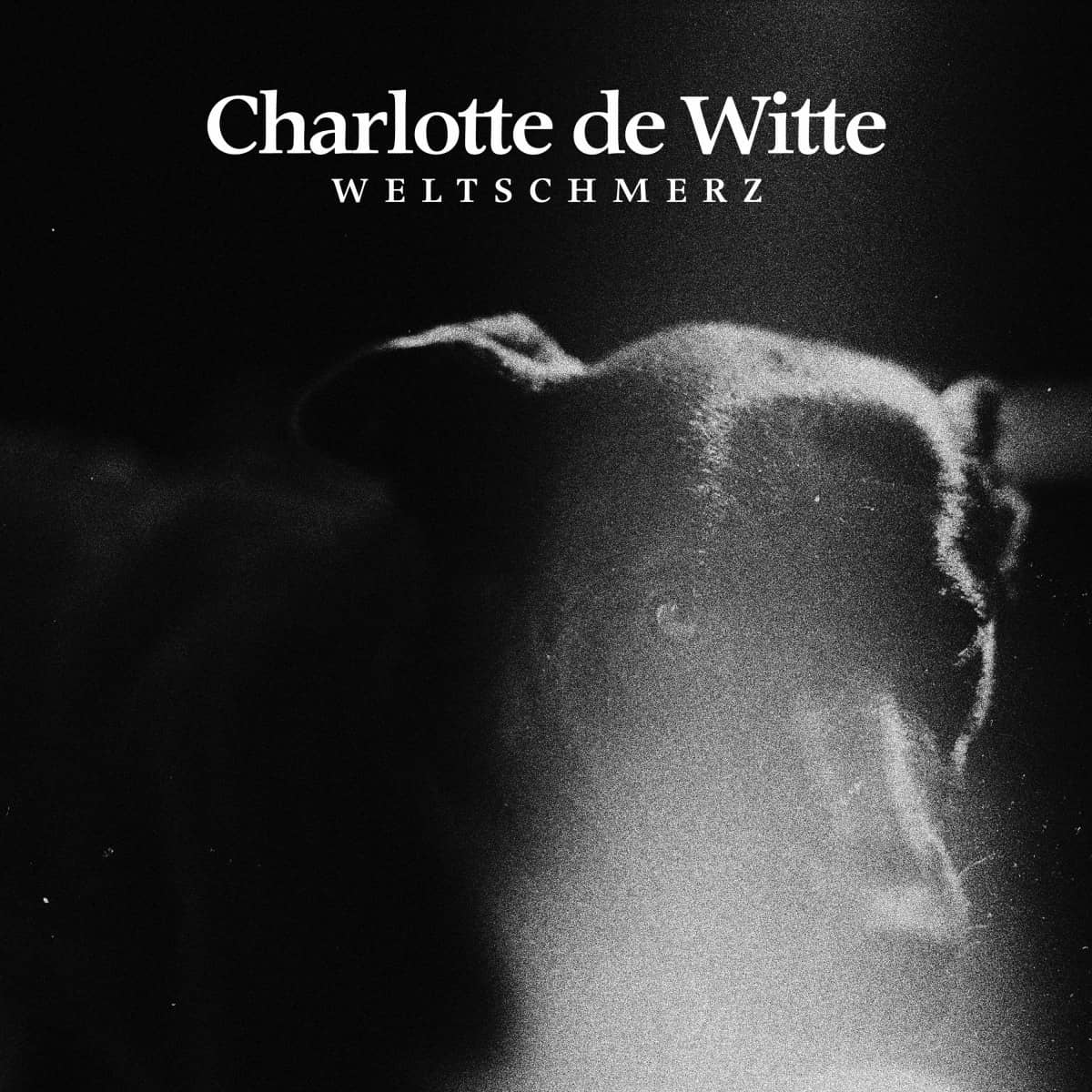 Cover Charlotte De Witte - Lonesome