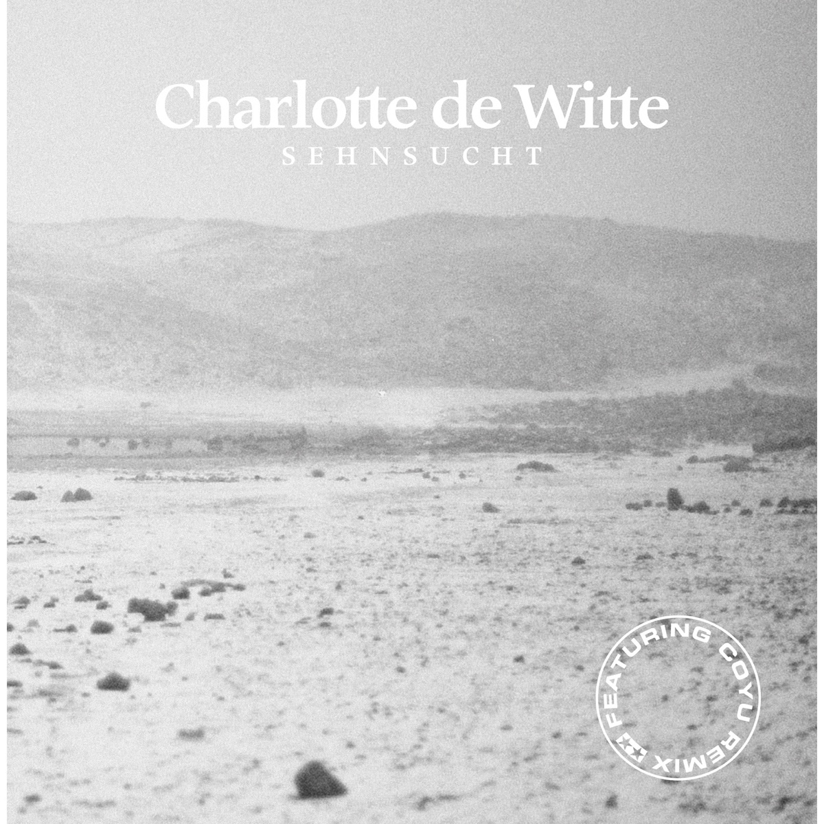 Cover Charlotte De Witte - My Feeling