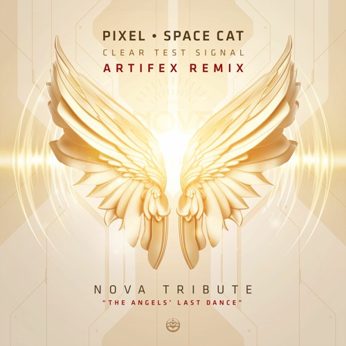Cover Pixel Vs Space Cat - Clear Test Signal (Astrix Rmx)