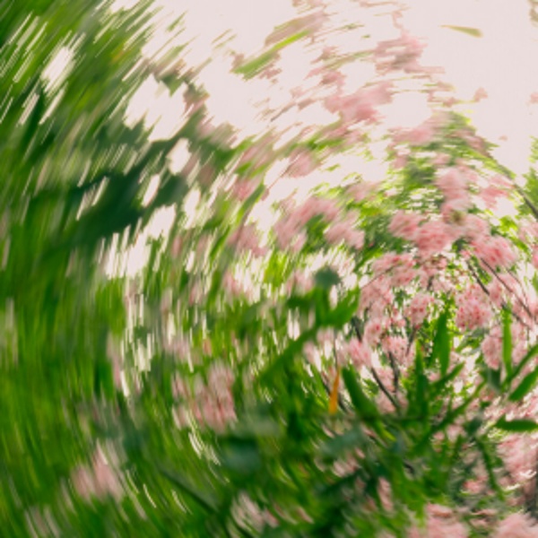  Shallou - Safe In Your Love