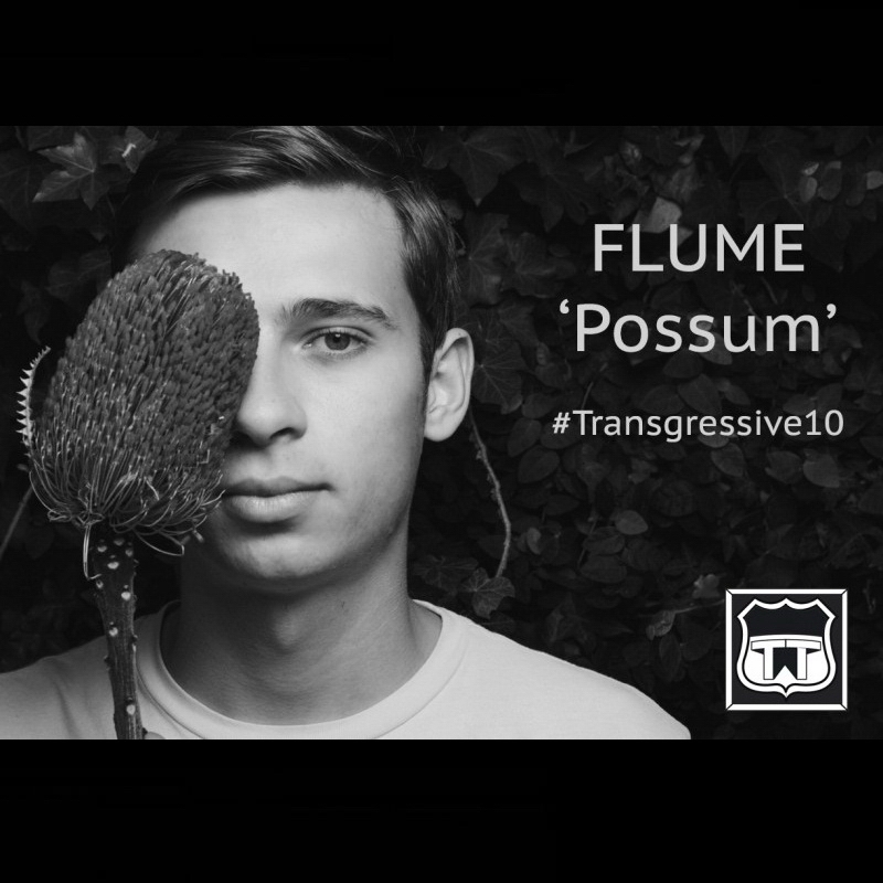 Cover Flume - Possum