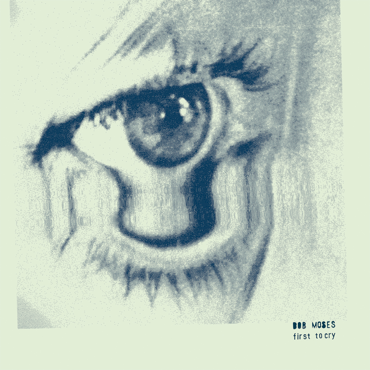 Cover Bob Moses - Grace