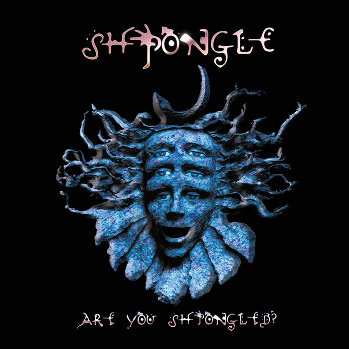 Cover Shpongle - Divine Moments Of Truth